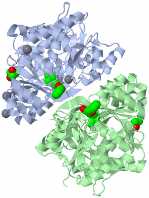 Image Biological Unit 3