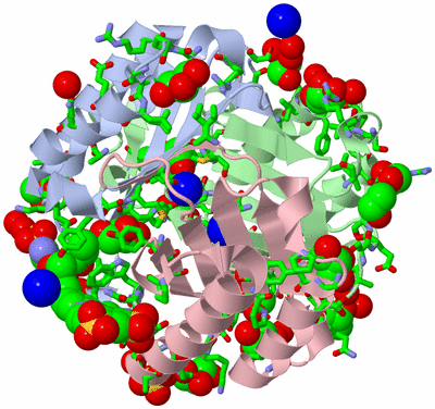 Image Asym./Biol. Unit - sites