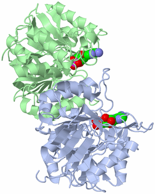 Image Asym./Biol. Unit