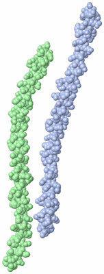 Image Asymmetric Unit