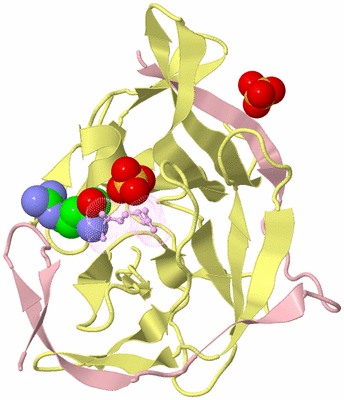 Image Biological Unit 2