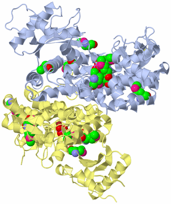 Image Biological Unit 1