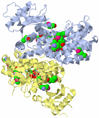 Image Biol. Unit 1 - sites