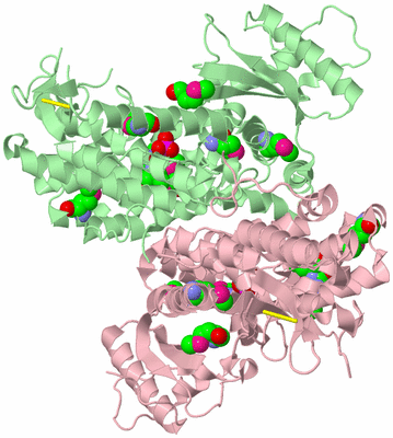 Image Biological Unit 2