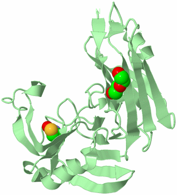 Image Biological Unit 2