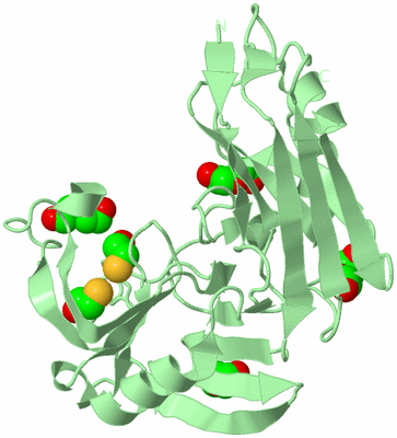 Image Biological Unit 2