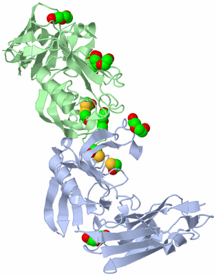 Image Biological Unit 3