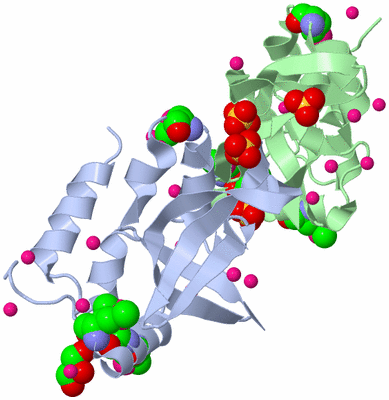 Image Biological Unit 1