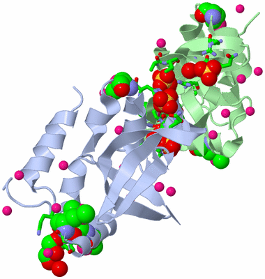 Image Biol. Unit 1 - sites