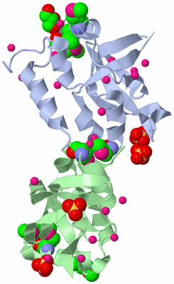 Image Biological Unit 2