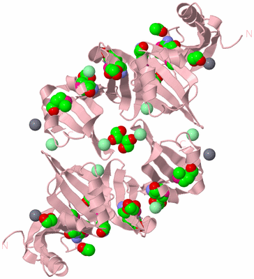 Image Biological Unit 2