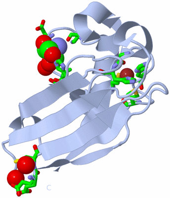 Image Biol. Unit 1 - sites