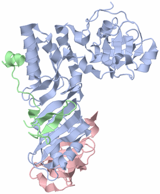 Image Asym./Biol. Unit