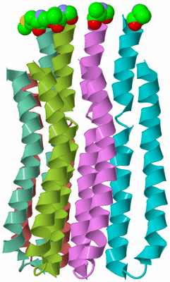 Image Asymmetric Unit