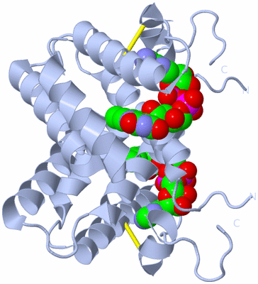 Image Biological Unit 1