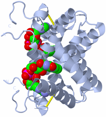 Image Biological Unit 1