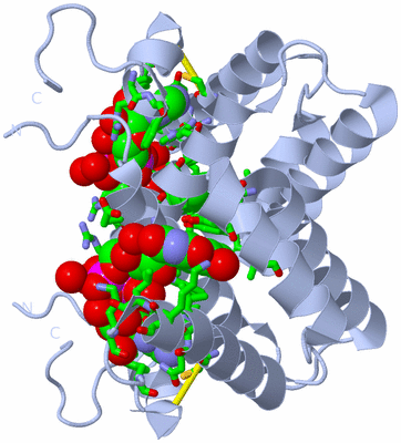 Image Biol. Unit 1 - sites