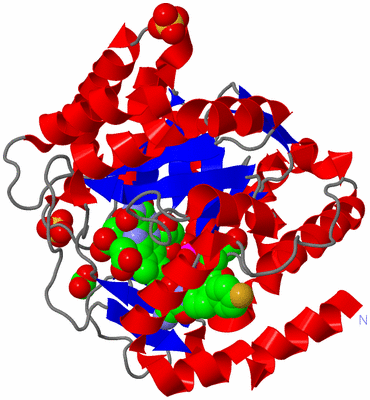 Image Asym./Biol. Unit