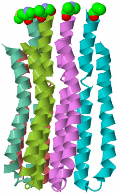 Image Asymmetric Unit