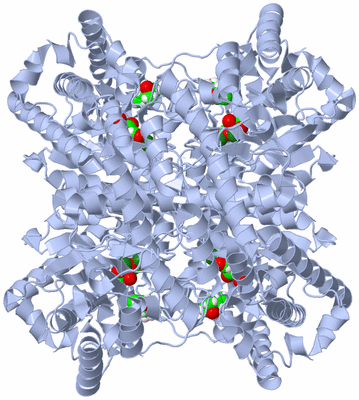 Image Biological Unit 1