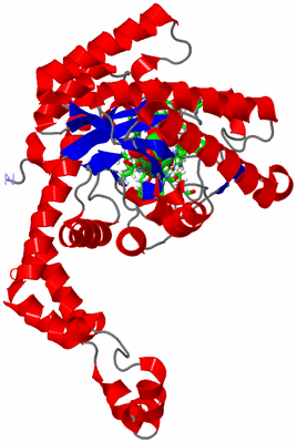 Image Asym. Unit - sites