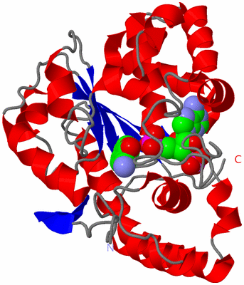 Image Asym./Biol. Unit