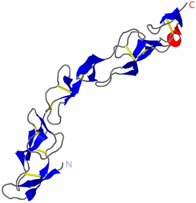 Image Asymmetric Unit