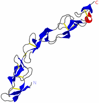 Image Asymmetric Unit