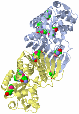 Image Biological Unit 1