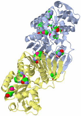 Image Biol. Unit 1 - sites