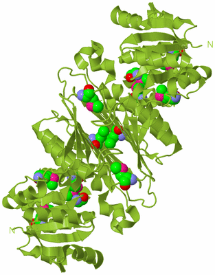 Image Biological Unit 3