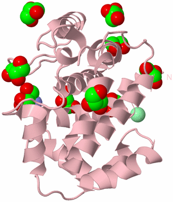 Image Biological Unit 3