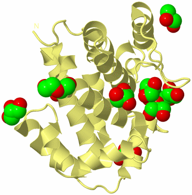 Image Biological Unit 4