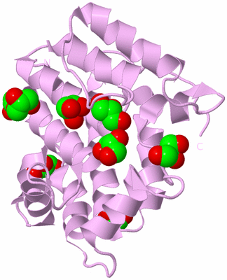 Image Biological Unit 5