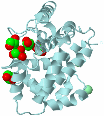 Image Biological Unit 6