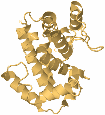 Image Biological Unit 7