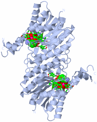 Image Biol. Unit 1 - sites