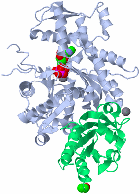 Image Asym./Biol. Unit