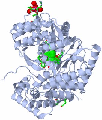 Image Biol. Unit 1 - sites