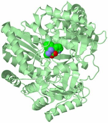 Image Biological Unit 2