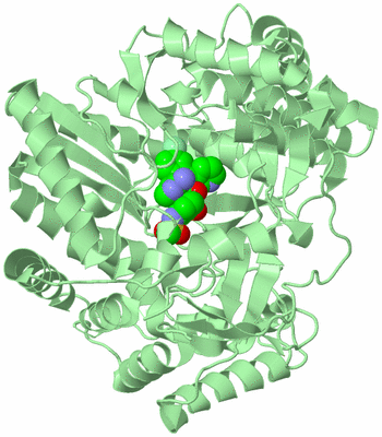 Image Biological Unit 2