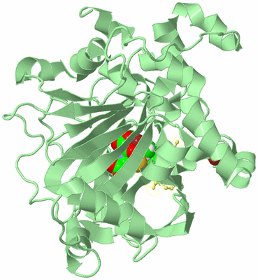 Image Biological Unit 2