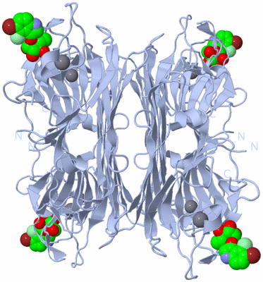 Image Biological Unit 1