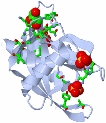 Image Biol. Unit 1 - sites