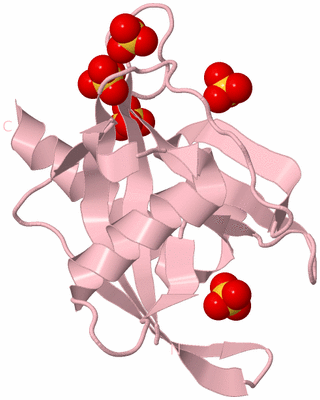 Image Biological Unit 3