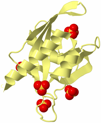 Image Biological Unit 4