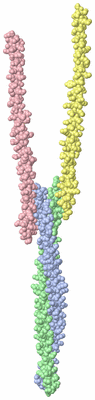 Image Asymmetric Unit