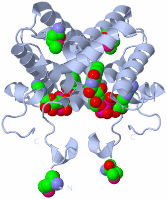 Image Biological Unit 1