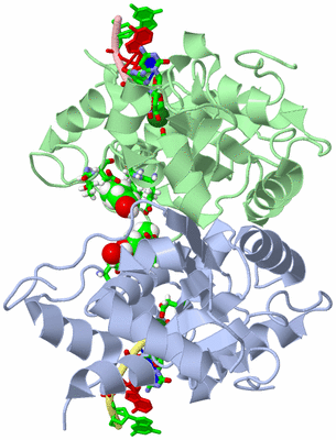 Image Asym./Biol. Unit - sites