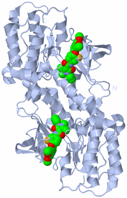 Image Biological Unit 2